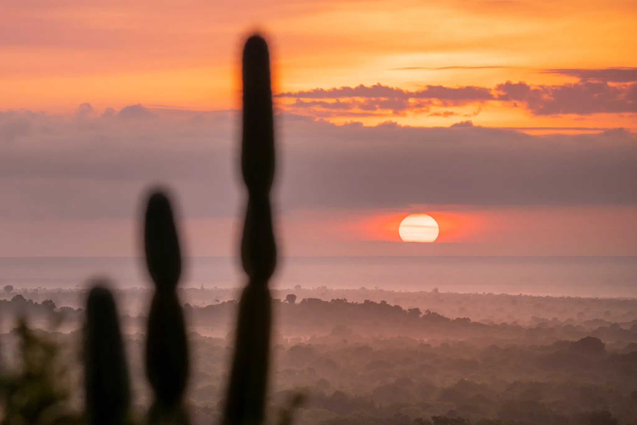 Governors' Mugie House at Governors' Mugie House, Mugie Wildlife Conservancy, Kenya.