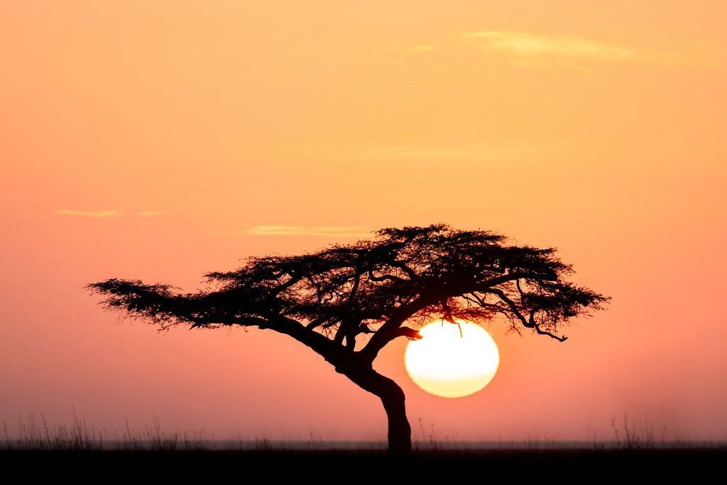 Governors' Mugie House at Governors' Mugie House, Mugie Wildlife Conservancy, Kenya.