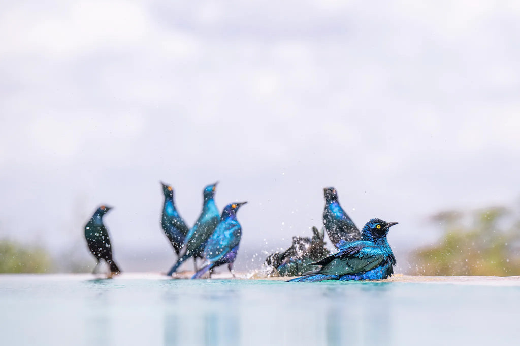 Governors' Mugie House at Governors' Mugie House, Mugie Wildlife Conservancy, Kenya.