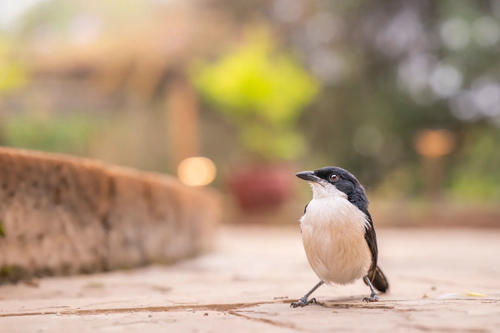 Governors' Mugie House at Governors' Mugie House, Mugie Wildlife Conservancy, Kenya.