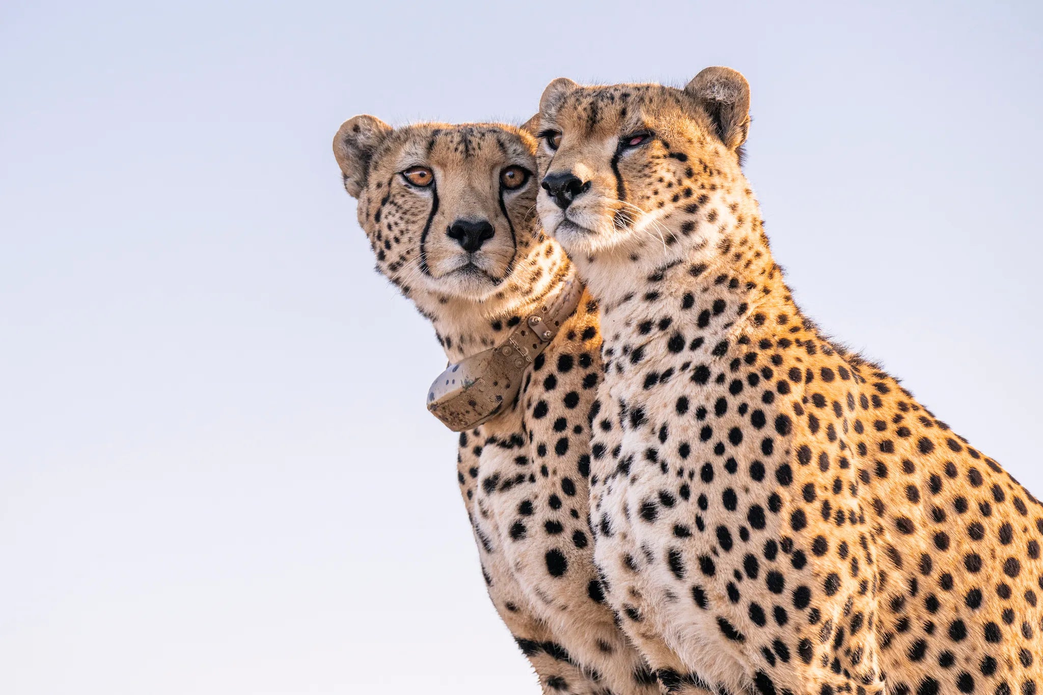 Governors' Mugie House at Governors' Mugie House, Mugie Wildlife Conservancy, Kenya.