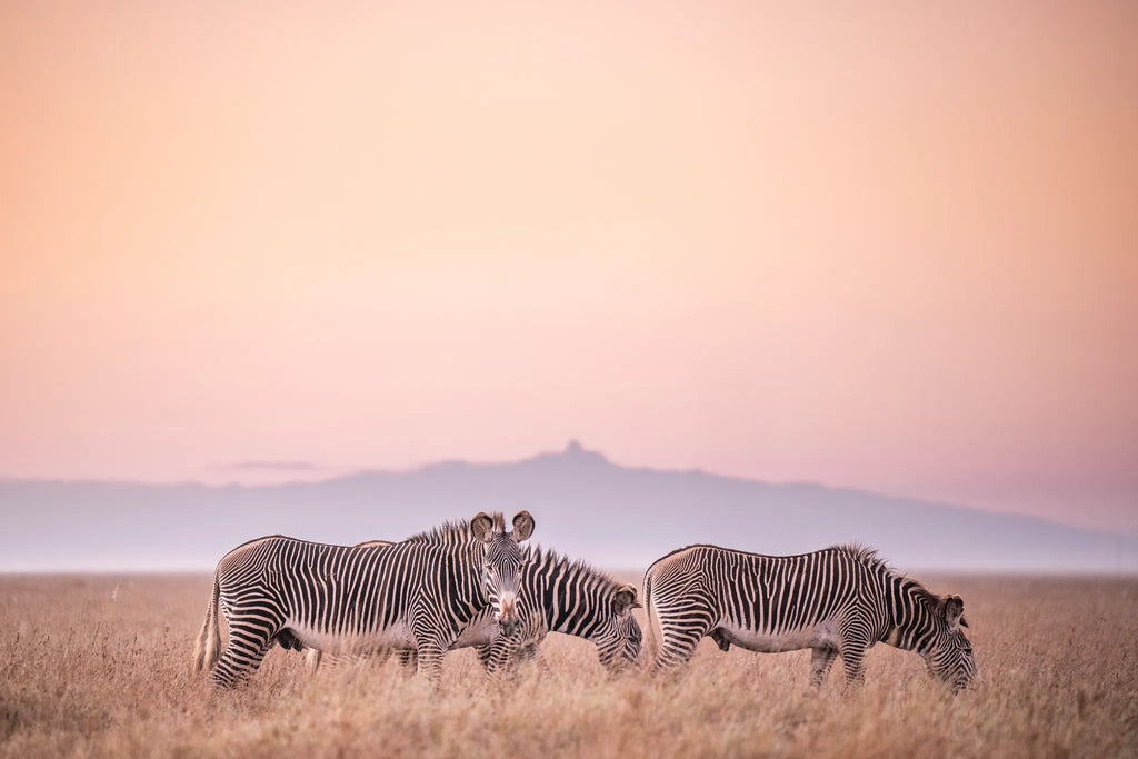 Governors' Mugie House at Governors' Mugie House, Mugie Wildlife Conservancy, Kenya.