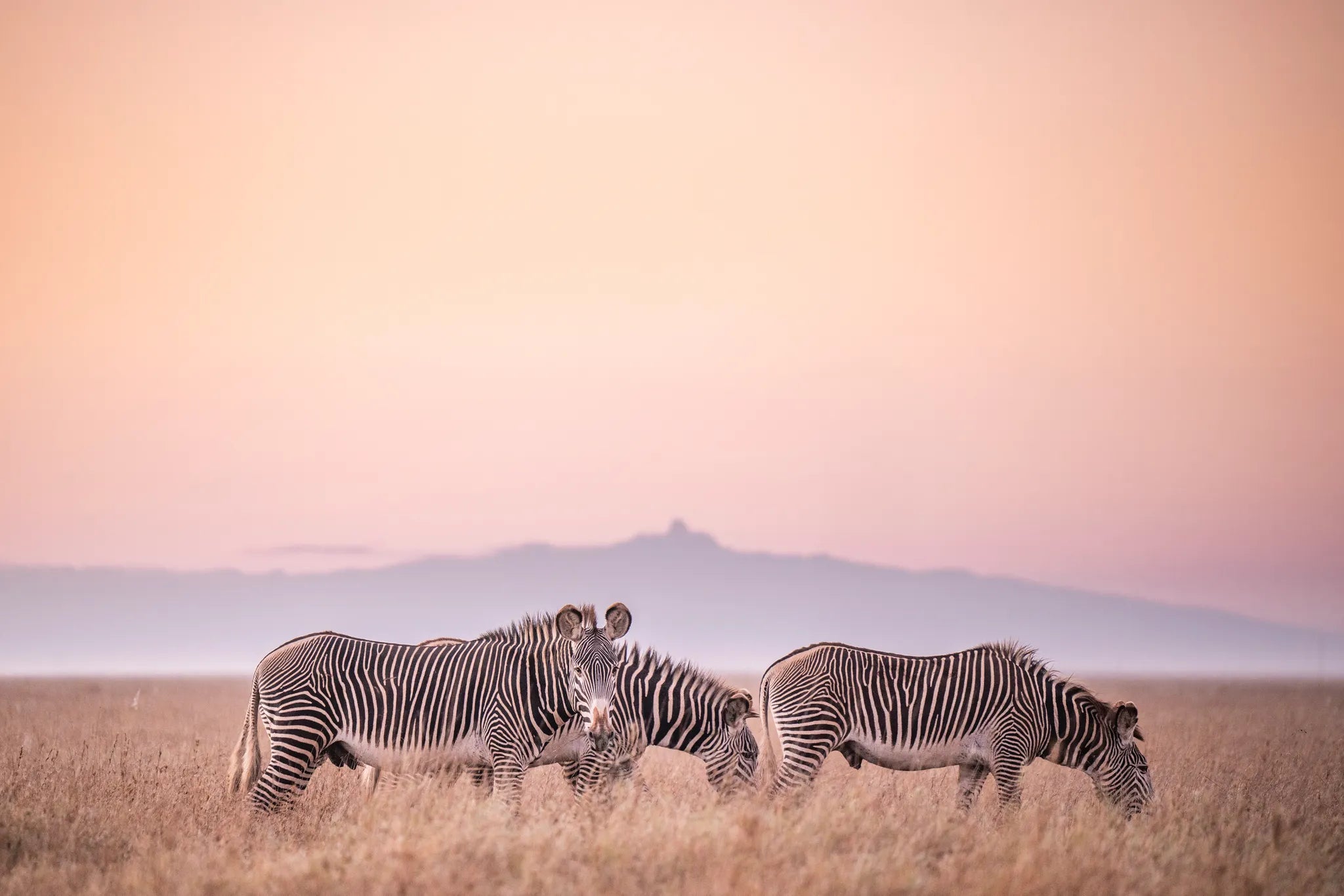 Governors' Mugie House at Governors' Mugie House, Mugie Wildlife Conservancy, Kenya.
