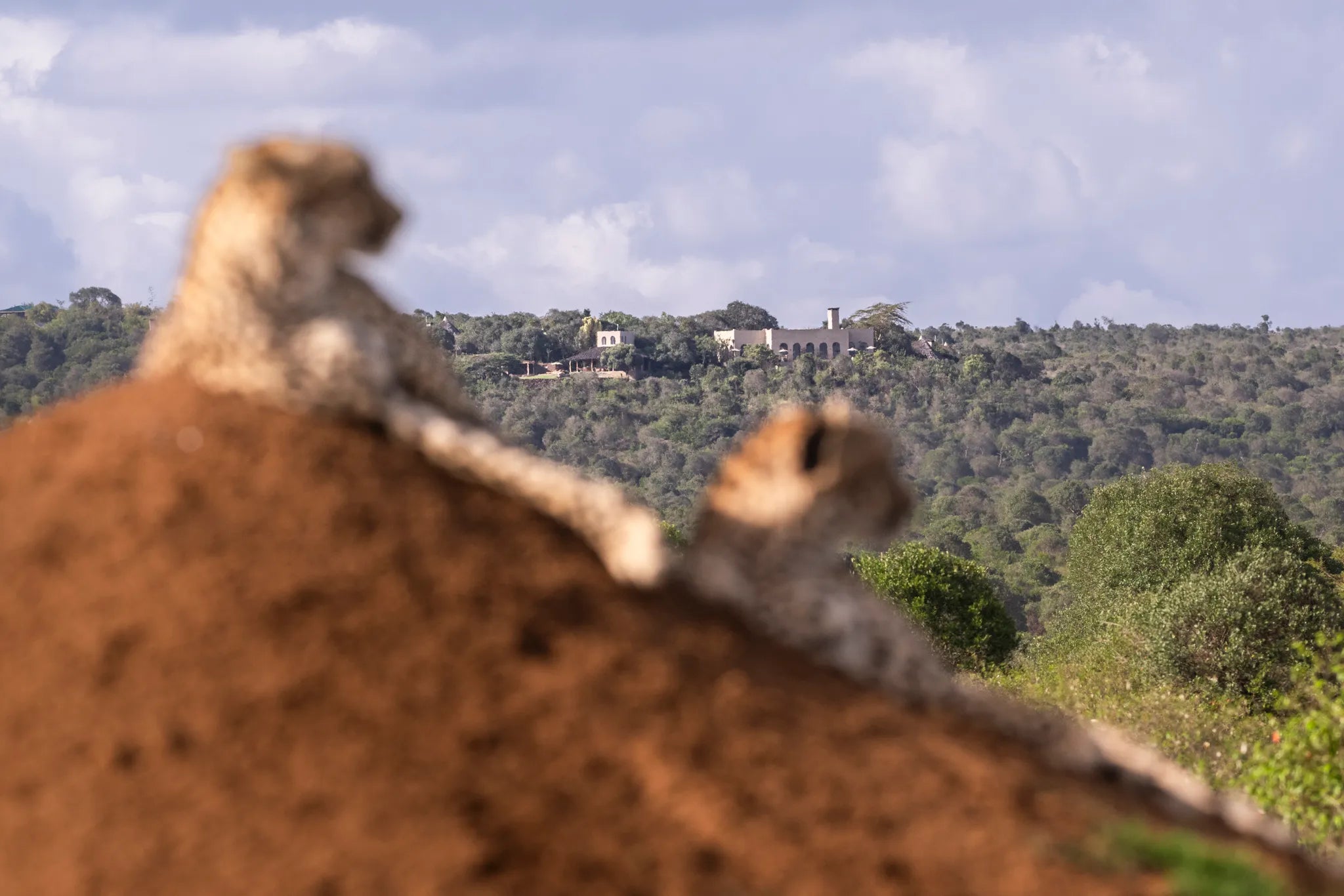 Governors' Mugie House at Governors' Mugie House, Mugie Wildlife Conservancy, Kenya.