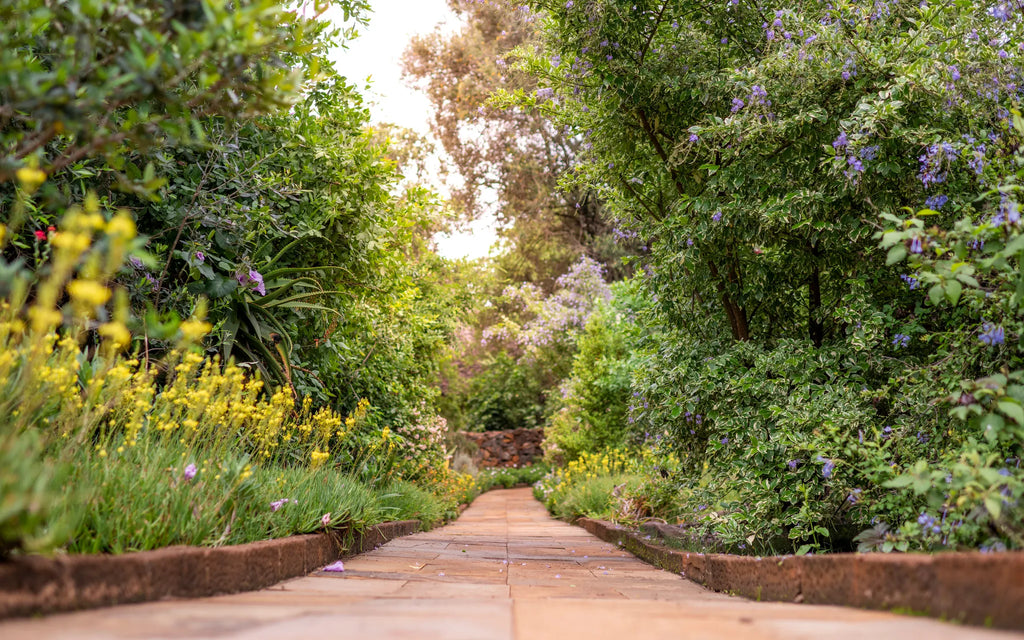 Governors' Mugie House at Governors' Mugie House, Mugie Wildlife Conservancy, Kenya.