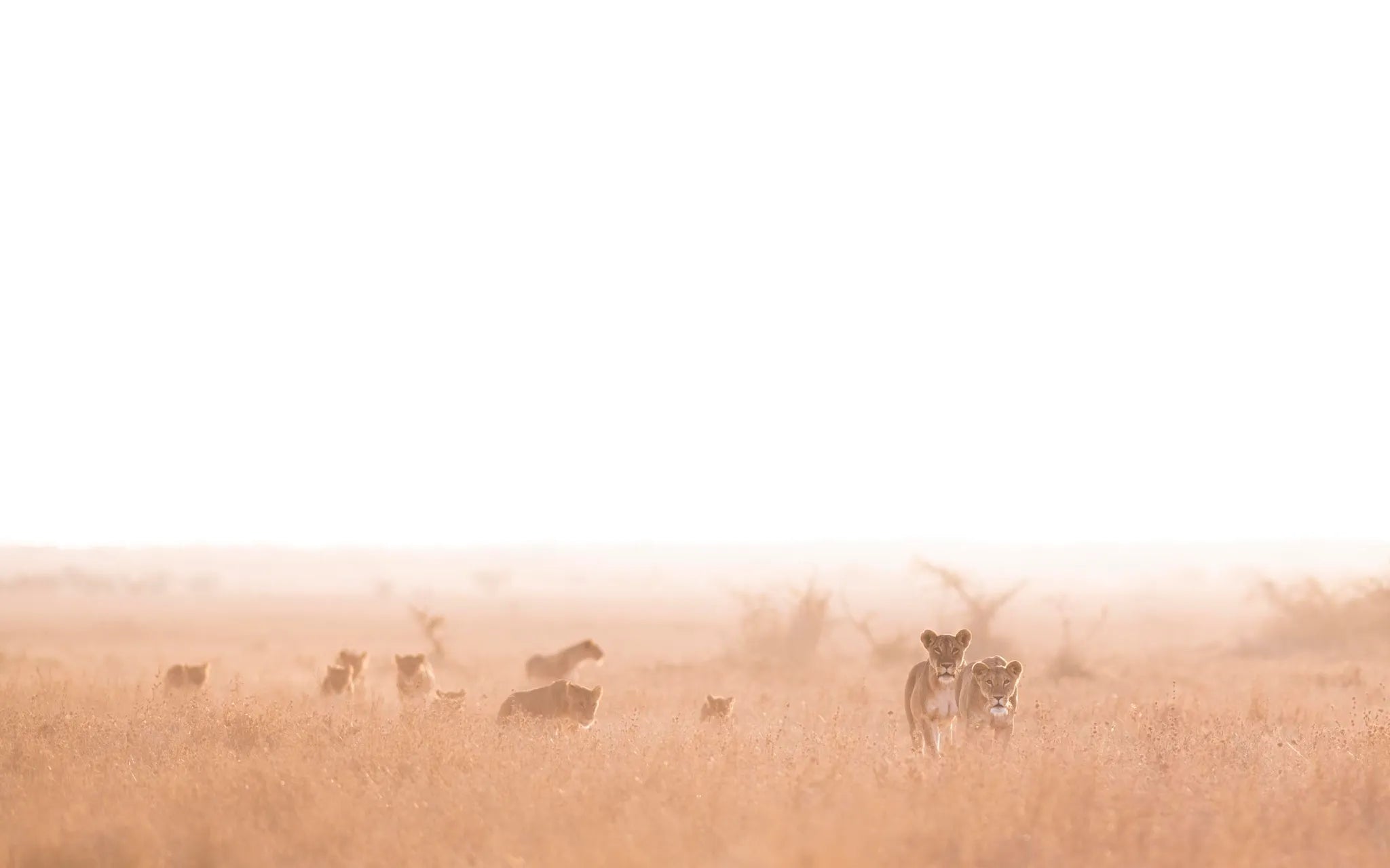 Governors' Mugie House at Governors' Mugie House, Mugie Wildlife Conservancy, Kenya.