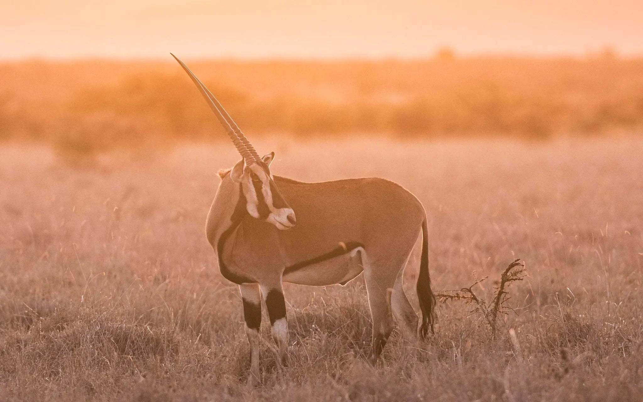 Governors' Mugie House at Governors' Mugie House, Mugie Wildlife Conservancy, Kenya.