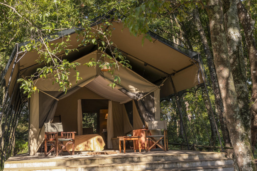 Luxury tents gallery image 5