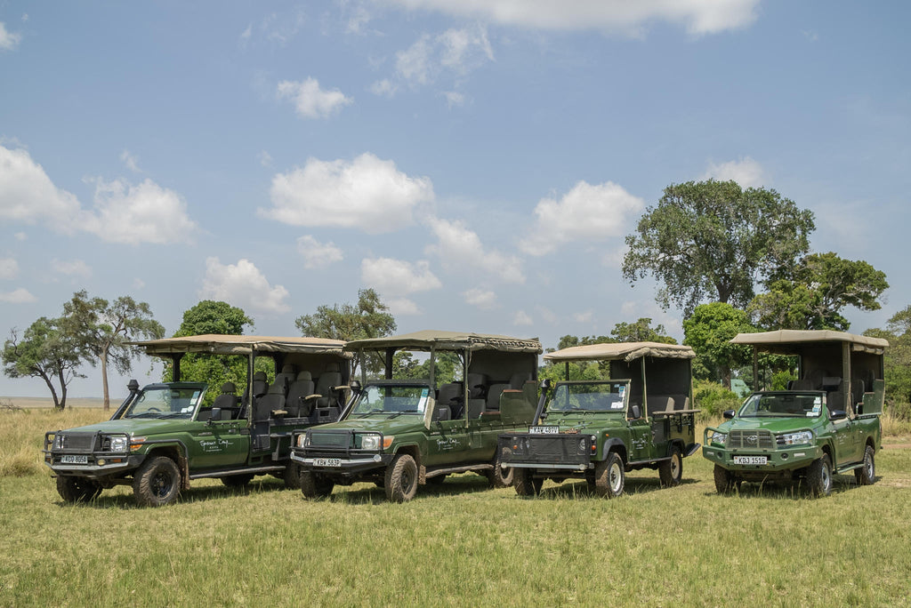 Game Drives gallery image 18