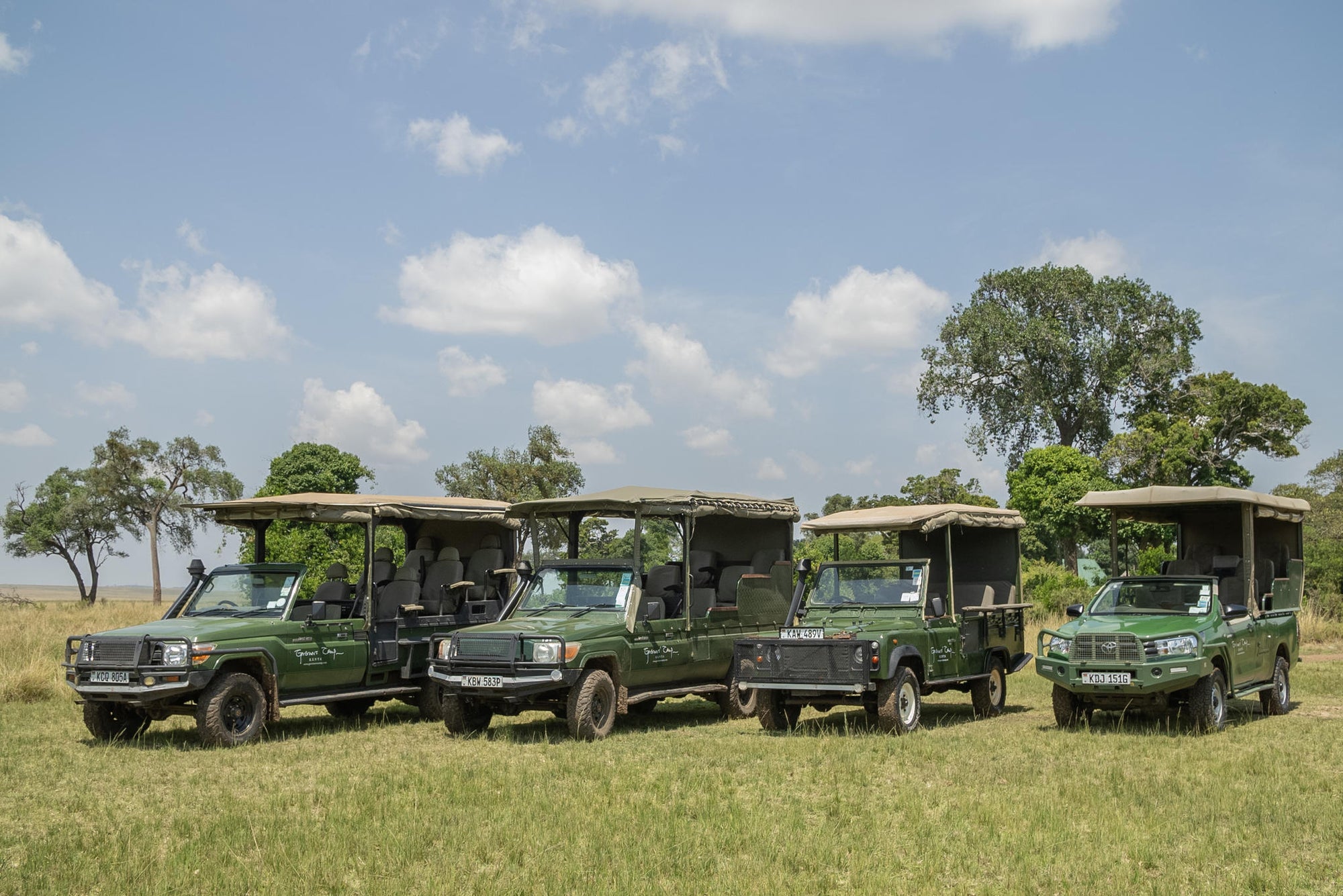 Game Drives gallery image 18