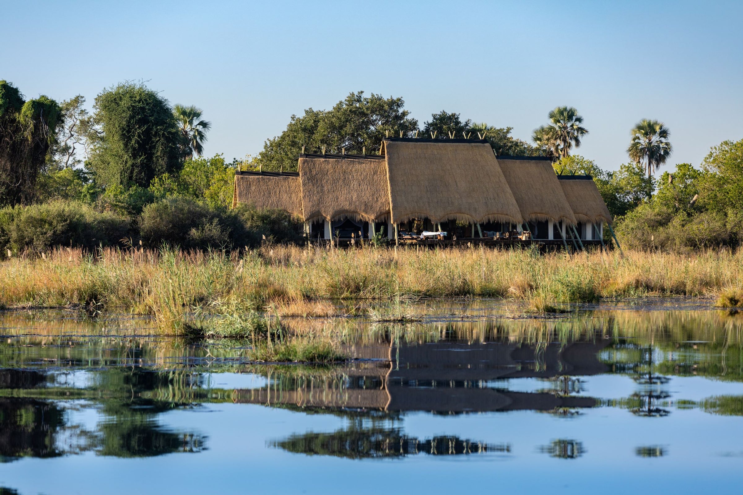 The Selinda Suite