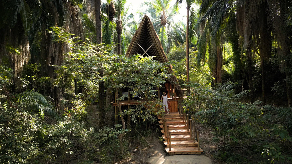 A-Frame banda set back in the forest at Greystoke, Mahale, Mahale Mountain National Park, Tanzania.