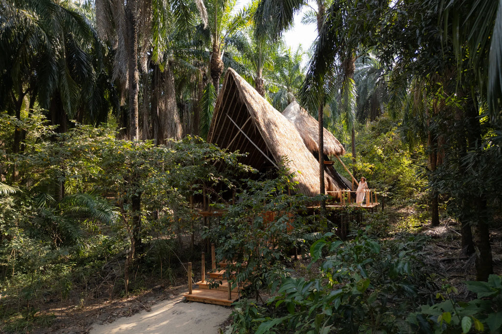 Life in the canopy at Greystoke, Mahale, Mahale Mountain National Park, Tanzania.