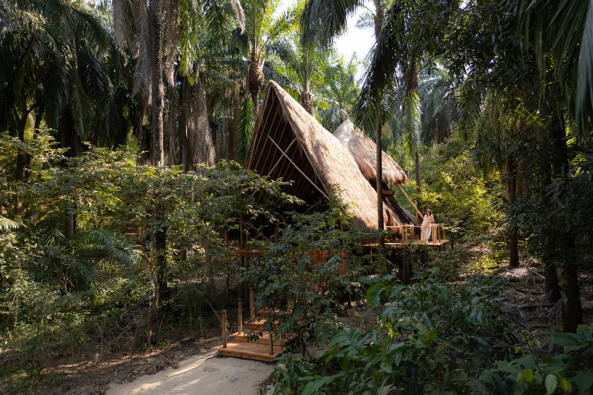 Life in the canopy at Greystoke, Mahale, Mahale Mountain National Park, Tanzania.