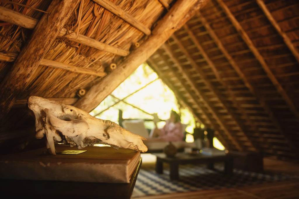 Time to relax and lose an afternoon at Greystoke, Mahale, Mahale Mountain National Park, Tanzania.