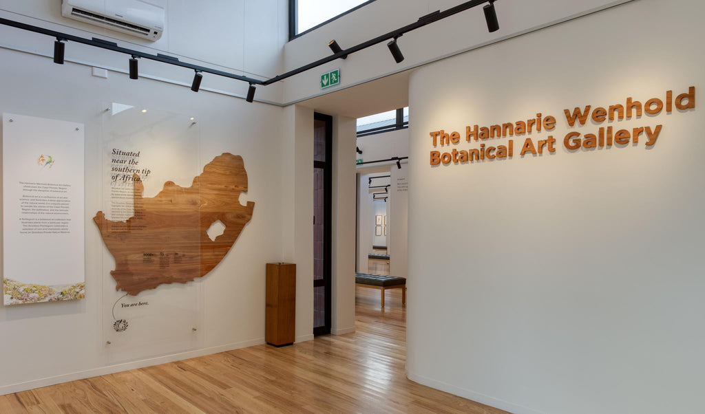 Hannarie Wenhold Botanical Art Gallery gallery image 4