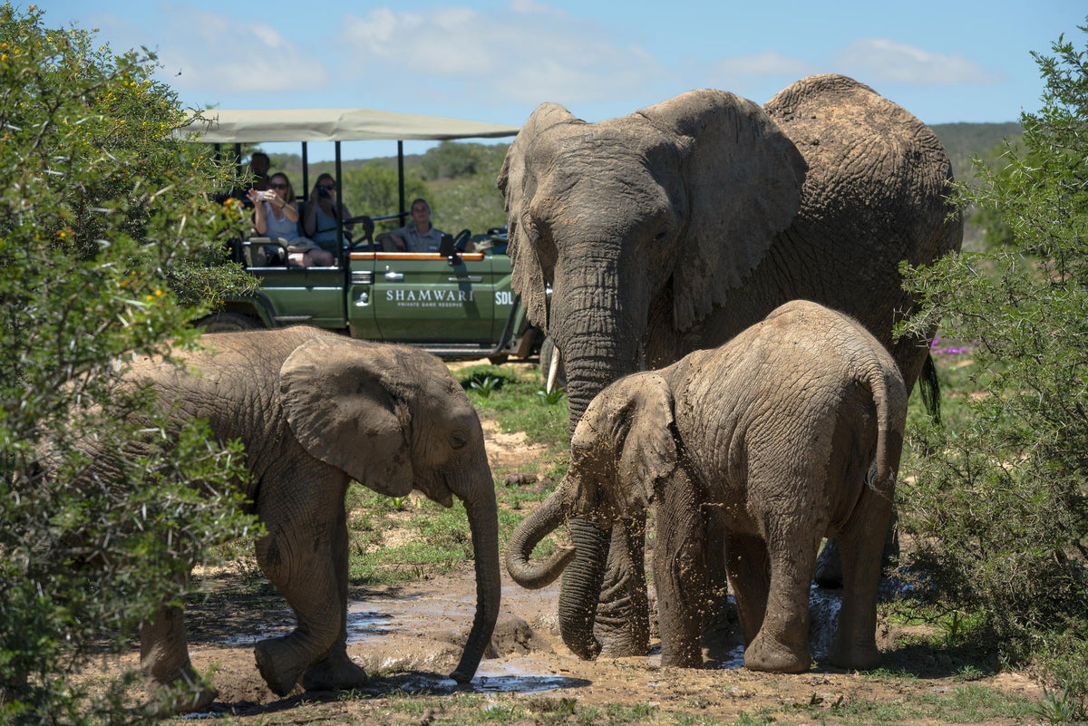 Game Drives