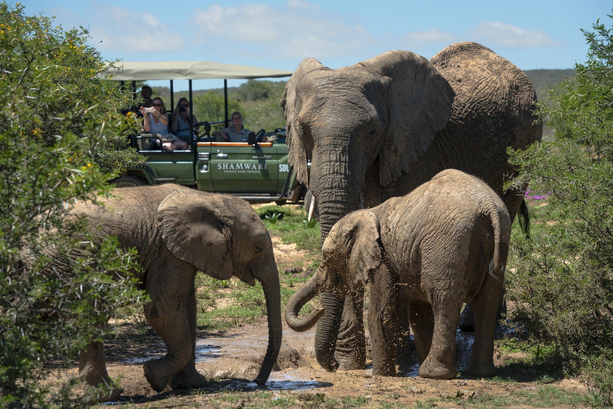 Game Drives gallery image 1