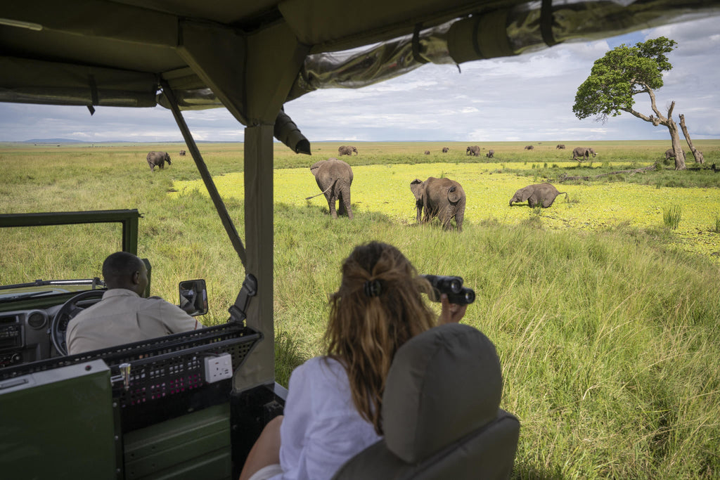 Game Drives gallery image 6