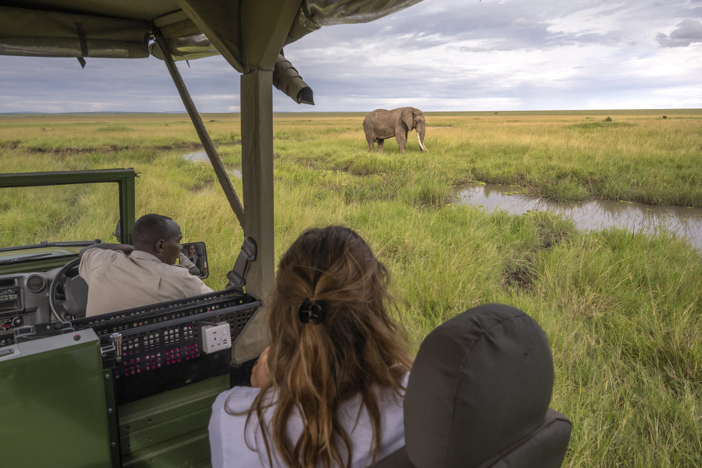 Game Drives gallery image 10