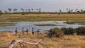 Guided Walking Safaris gallery image 1