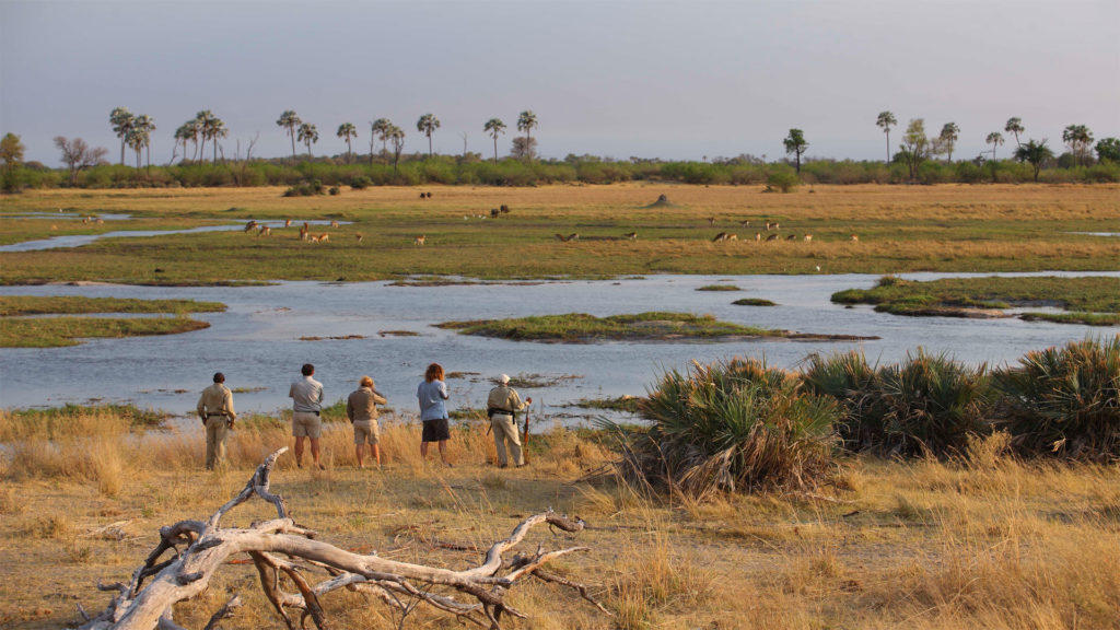 Guided Walking Safaris