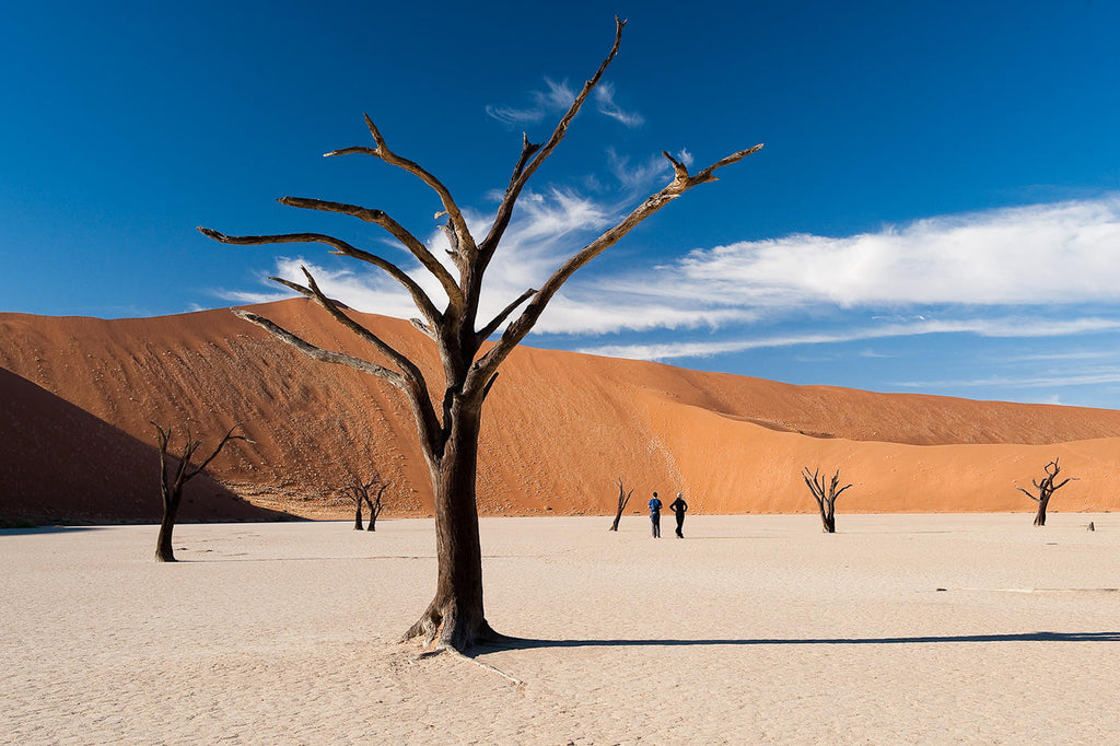 Wilderness Kulala Desert Lodge – Visit Sossusvlei & Dead Vlei gallery image 3