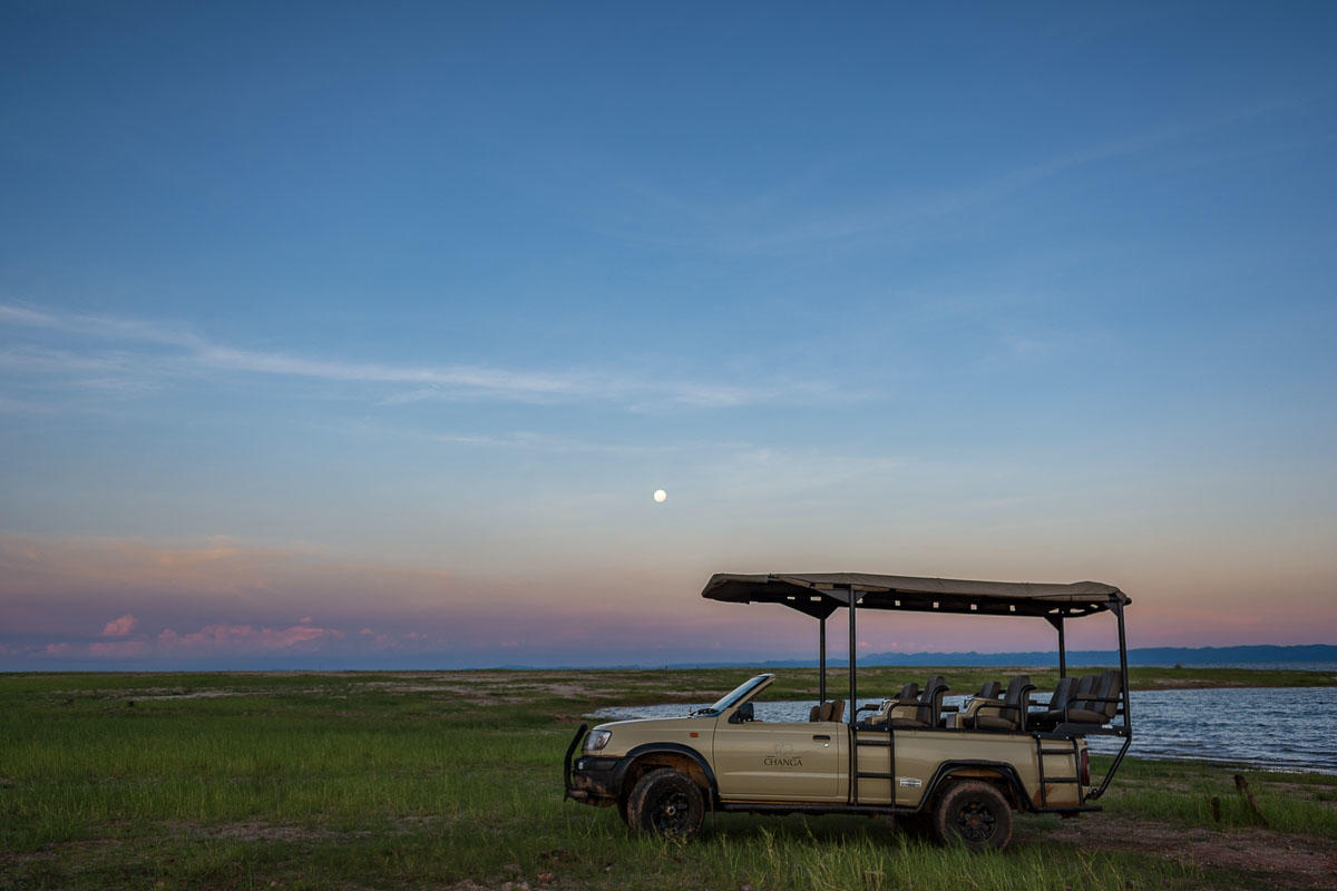 Game Drive gallery image 6