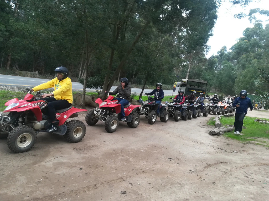 Quads at Hermanus Quad Biking, Whale Coast, South Africa.