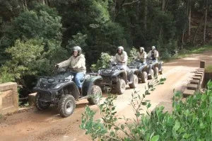 Quads at Hermanus Quad Biking, Whale Coast, South Africa.