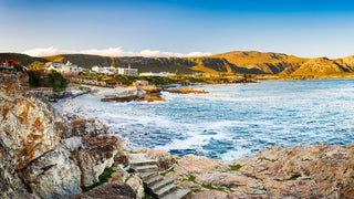 Hermanus