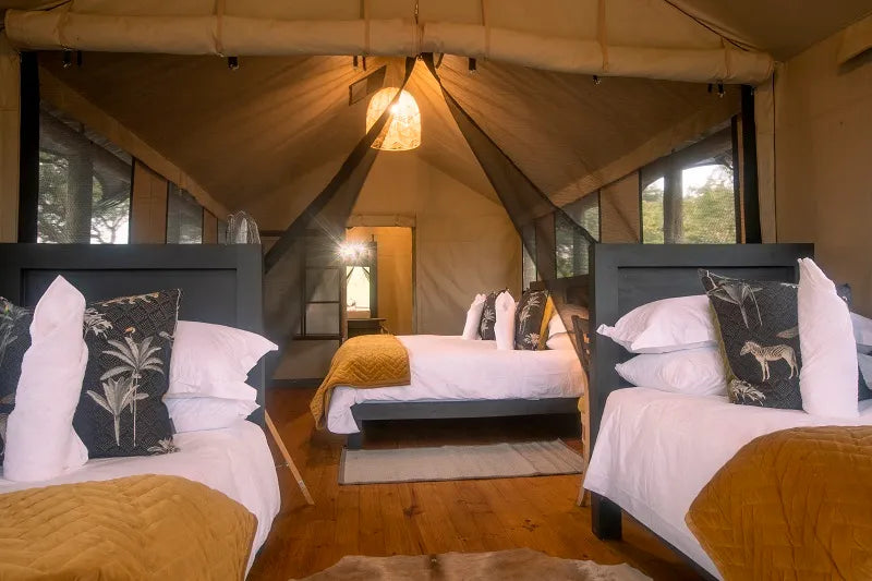 Family luxury tent at Hideaways Mogotlho Safari Lodge, Khwai River, Khwai, Botswana.