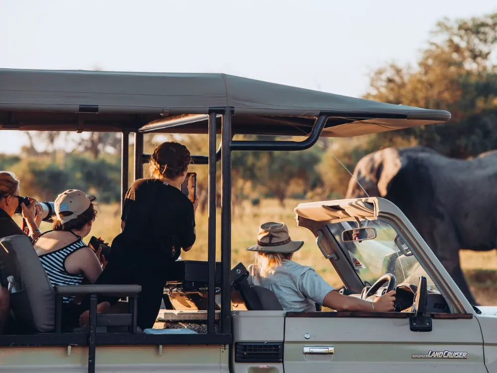 Game drive at Hideaways Mogotlho Safari Lodge, Khwai River, Khwai, Botswana.