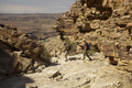Day Hike into Canyon gallery image 1