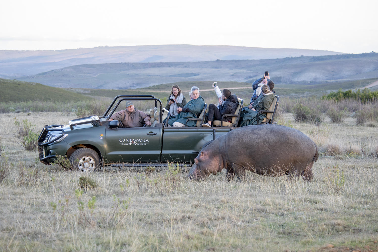 Game Drives  gallery image 3