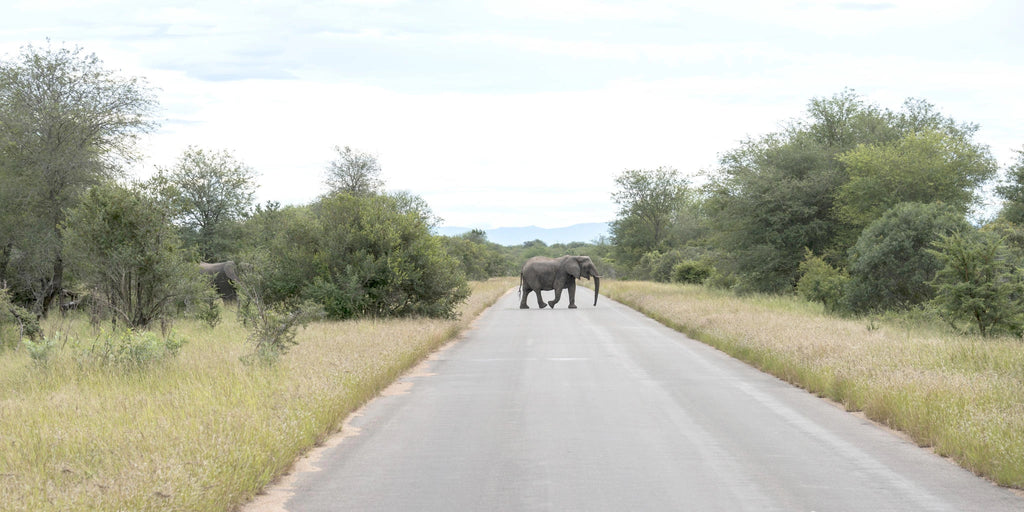 Hoedspruit