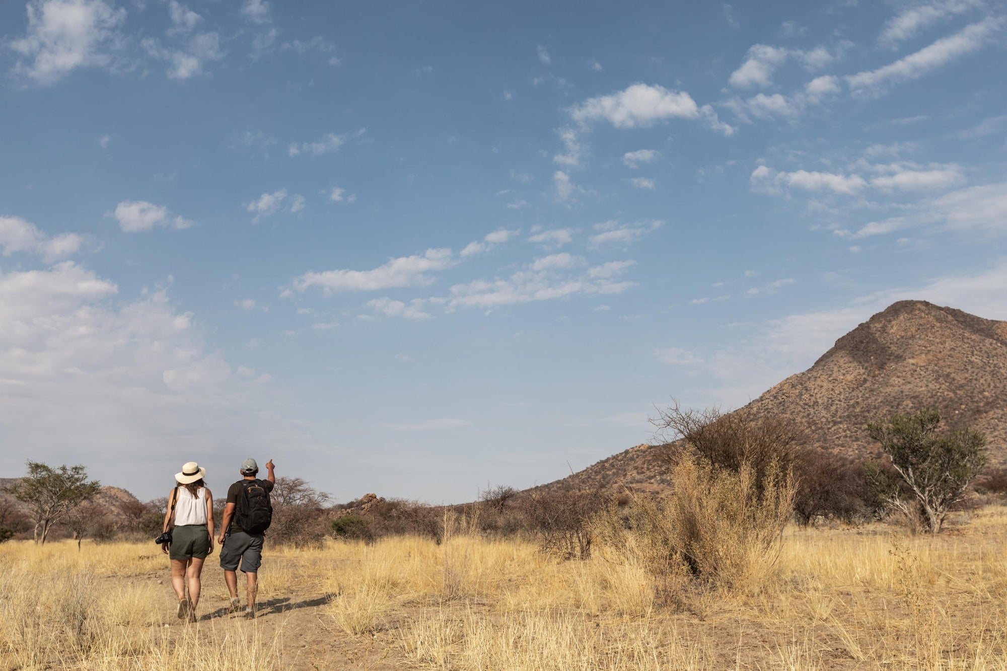 Hiking Trails, Nature Drive and Bird watching gallery image 12
