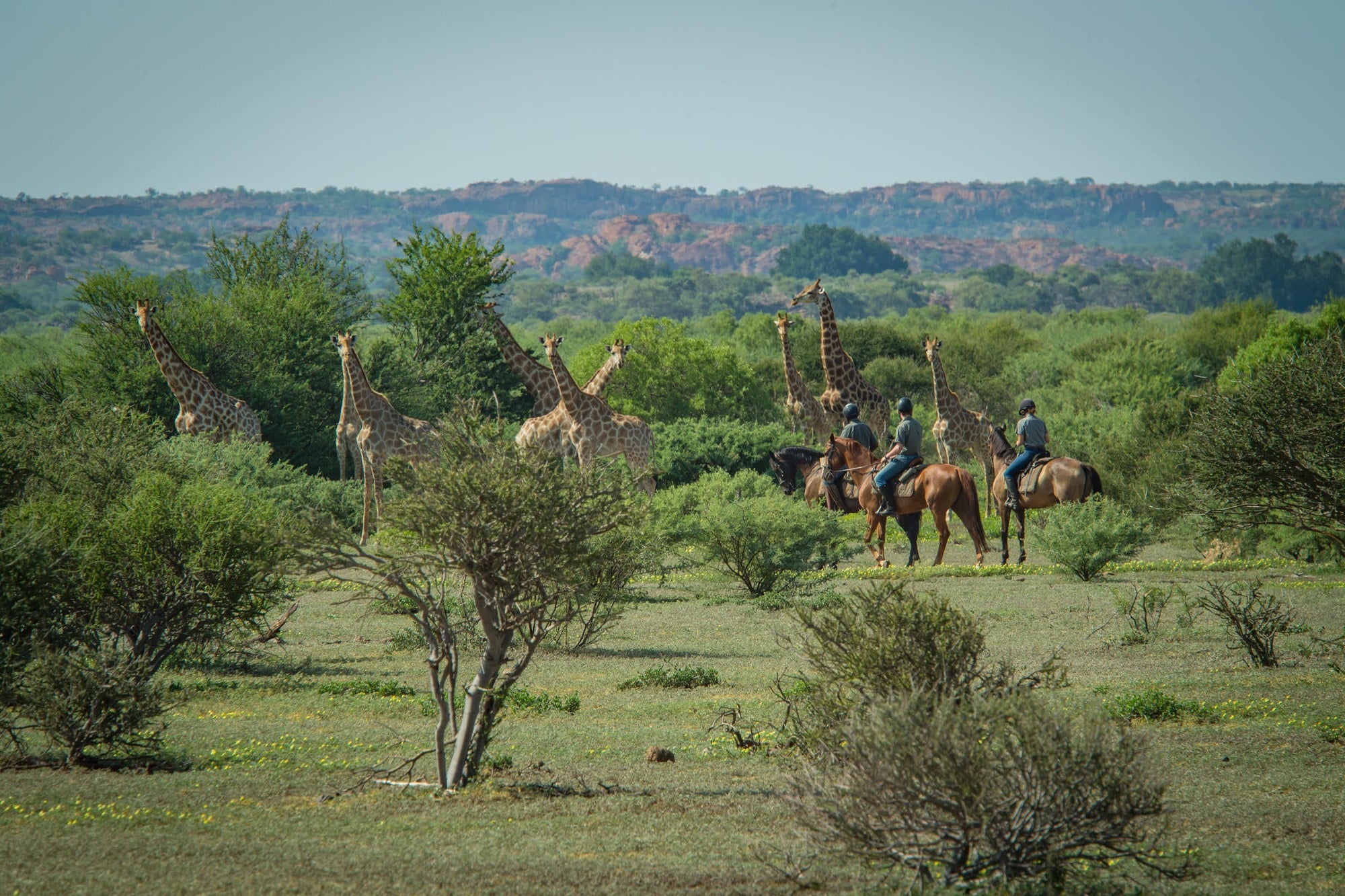 Horseback Mashatu gallery image 5