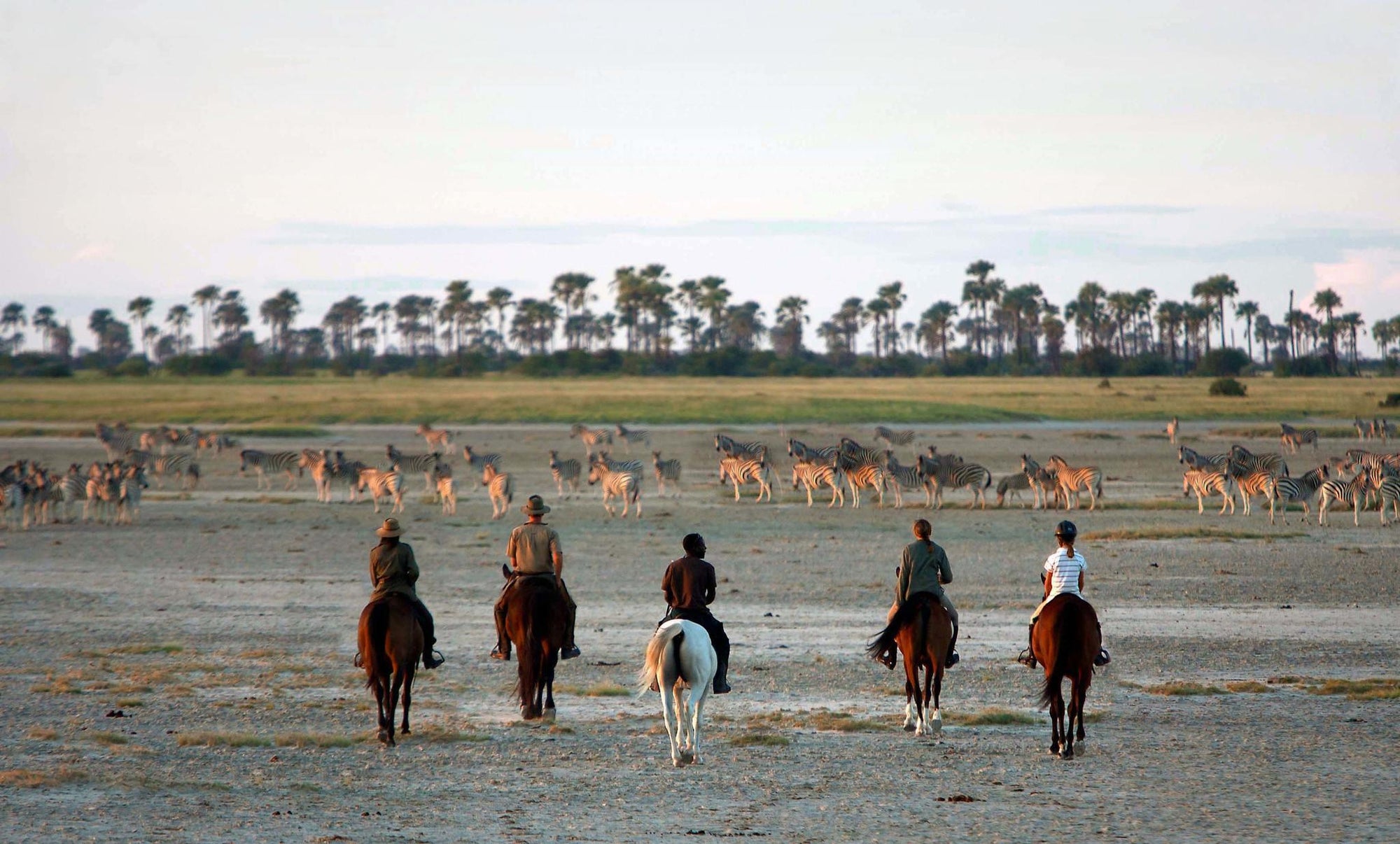 Horse Riding  gallery image 3