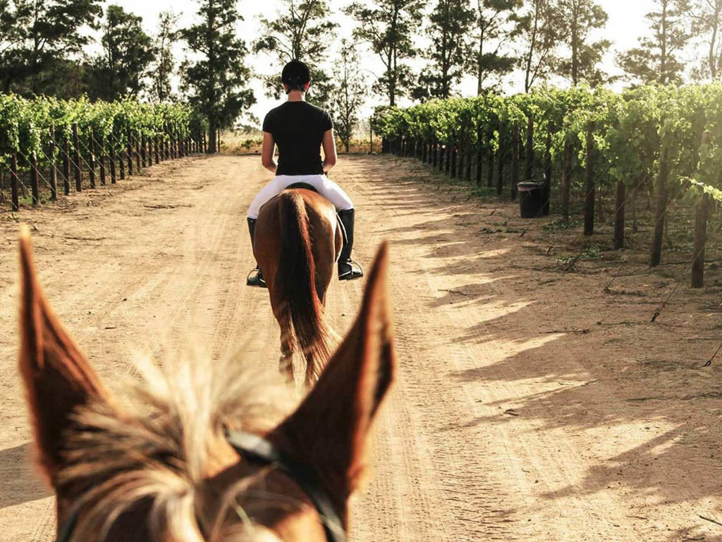 Equestrian Experiences  gallery image 4