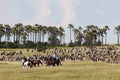 Horse Riding  gallery image 1