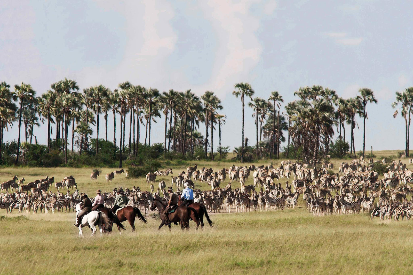 Horse Riding