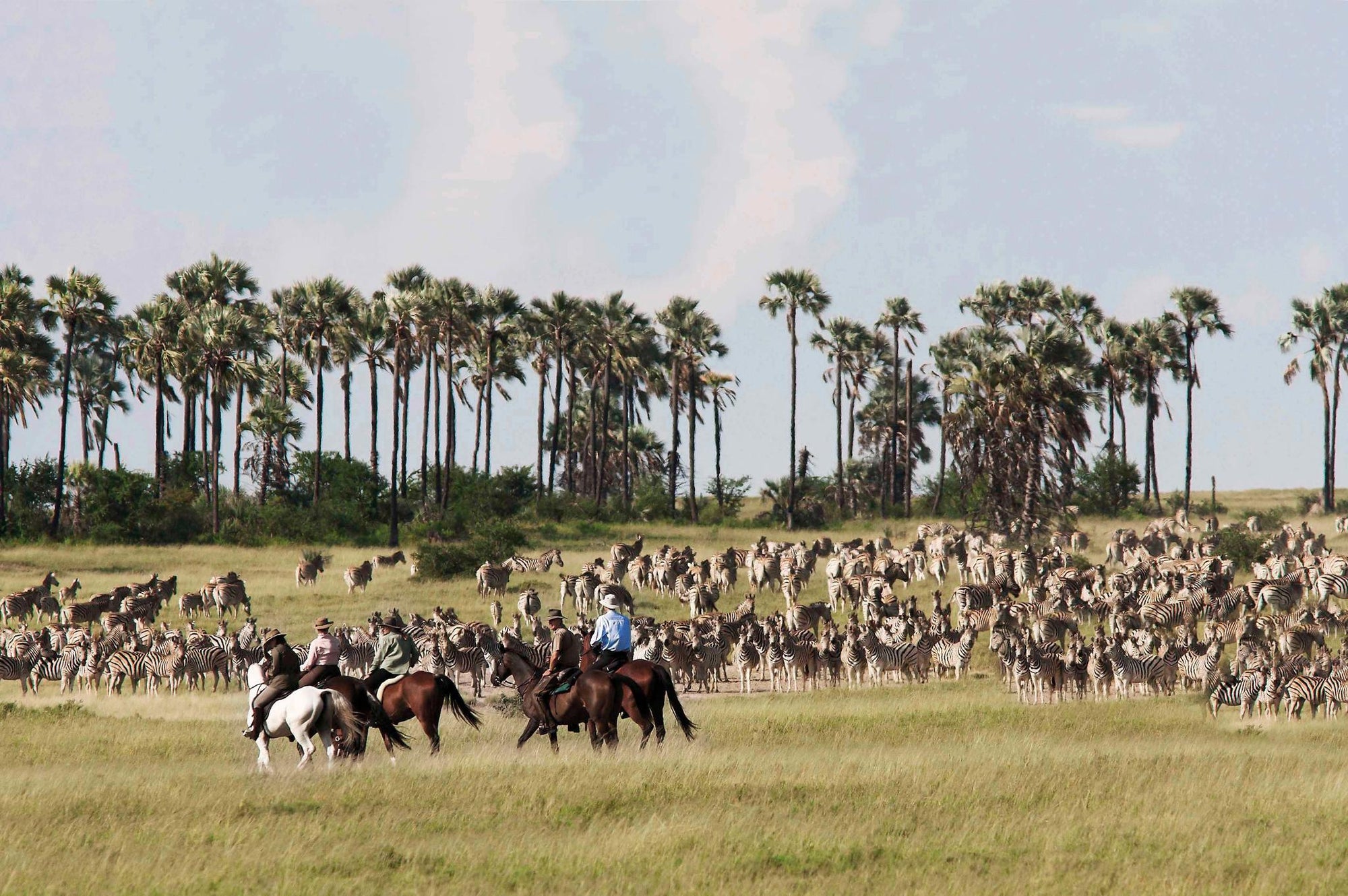 Horse Riding  gallery image 1