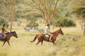 Horse Riding Safaris - Additional Cost - Mihingo Lodge Activity