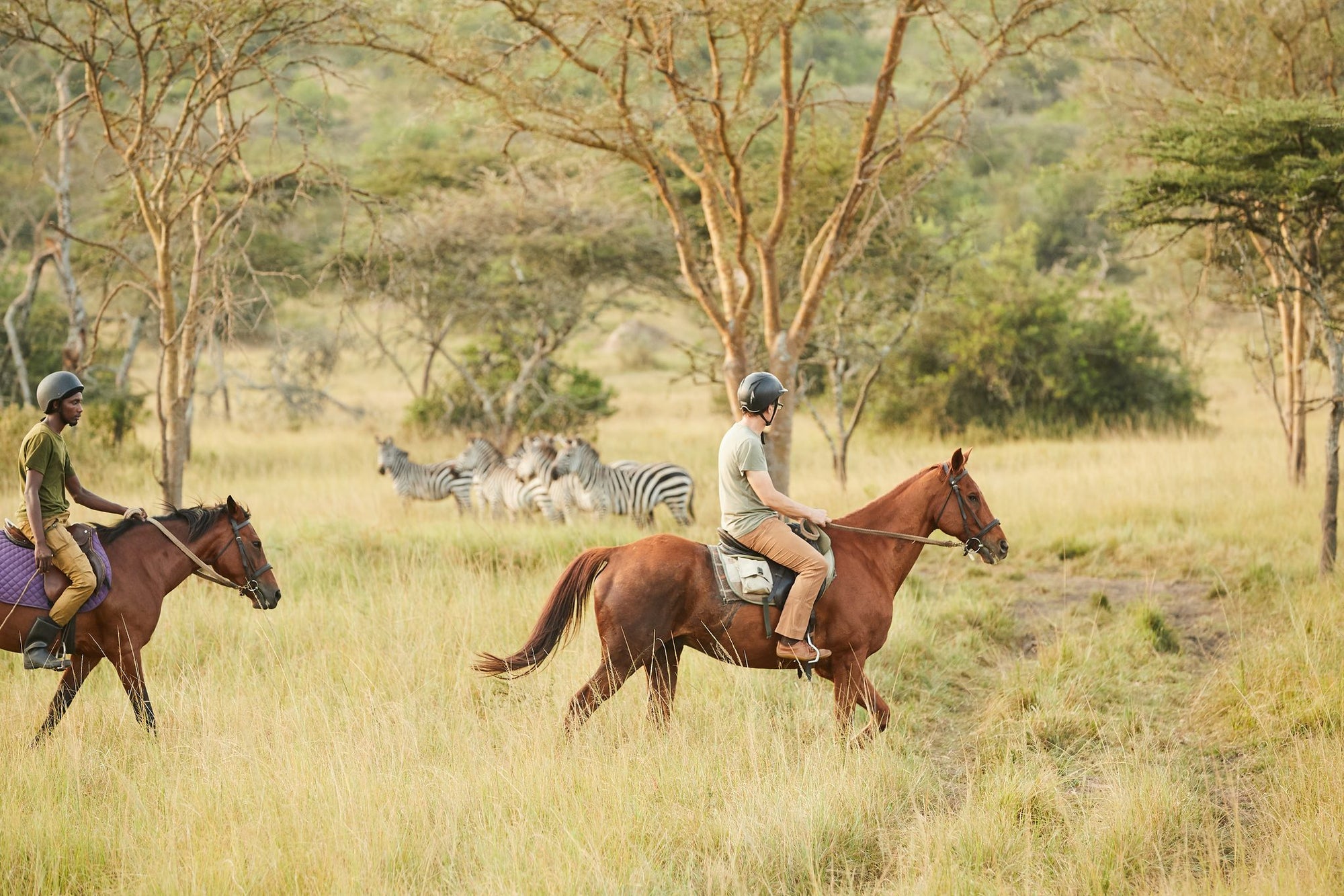 Horse Riding Safaris - Additional Cost - Mihingo Lodge Activity