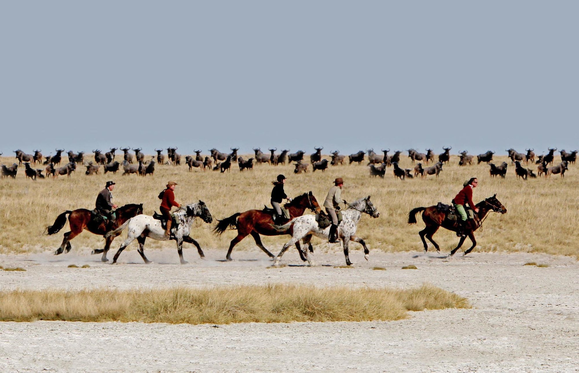 Horse Riding  gallery image 2