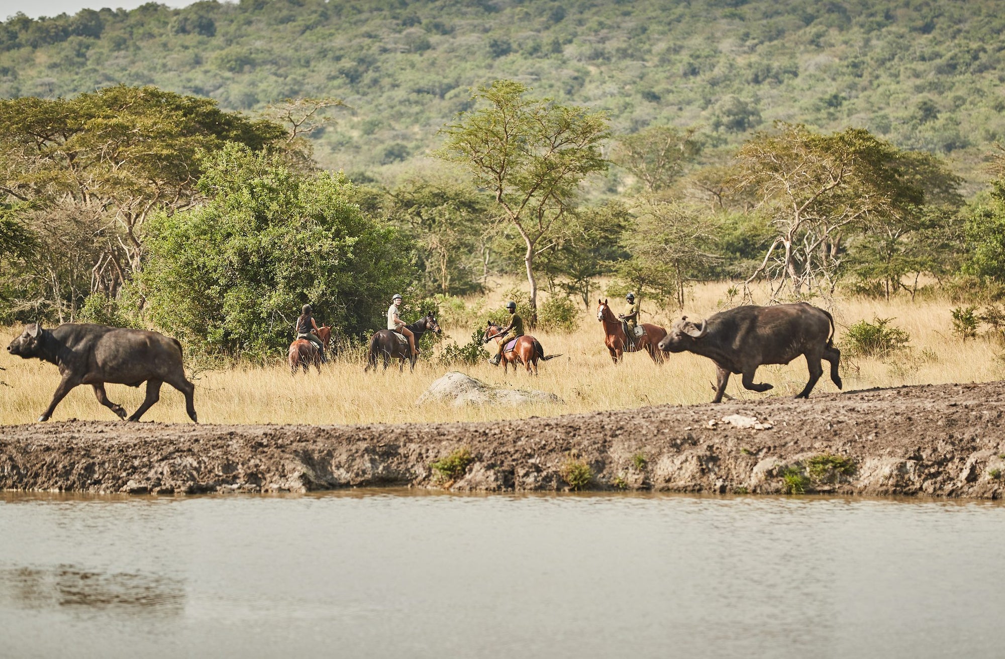 Horse Riding Safaris - Additional Cost - Mihingo Lodge Activity