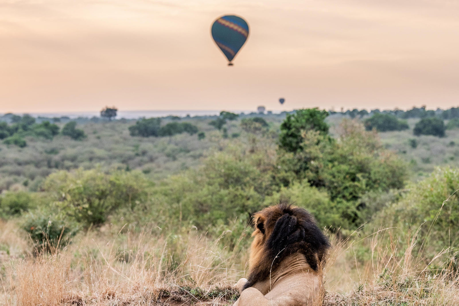 Hot Air Balloon Safaris