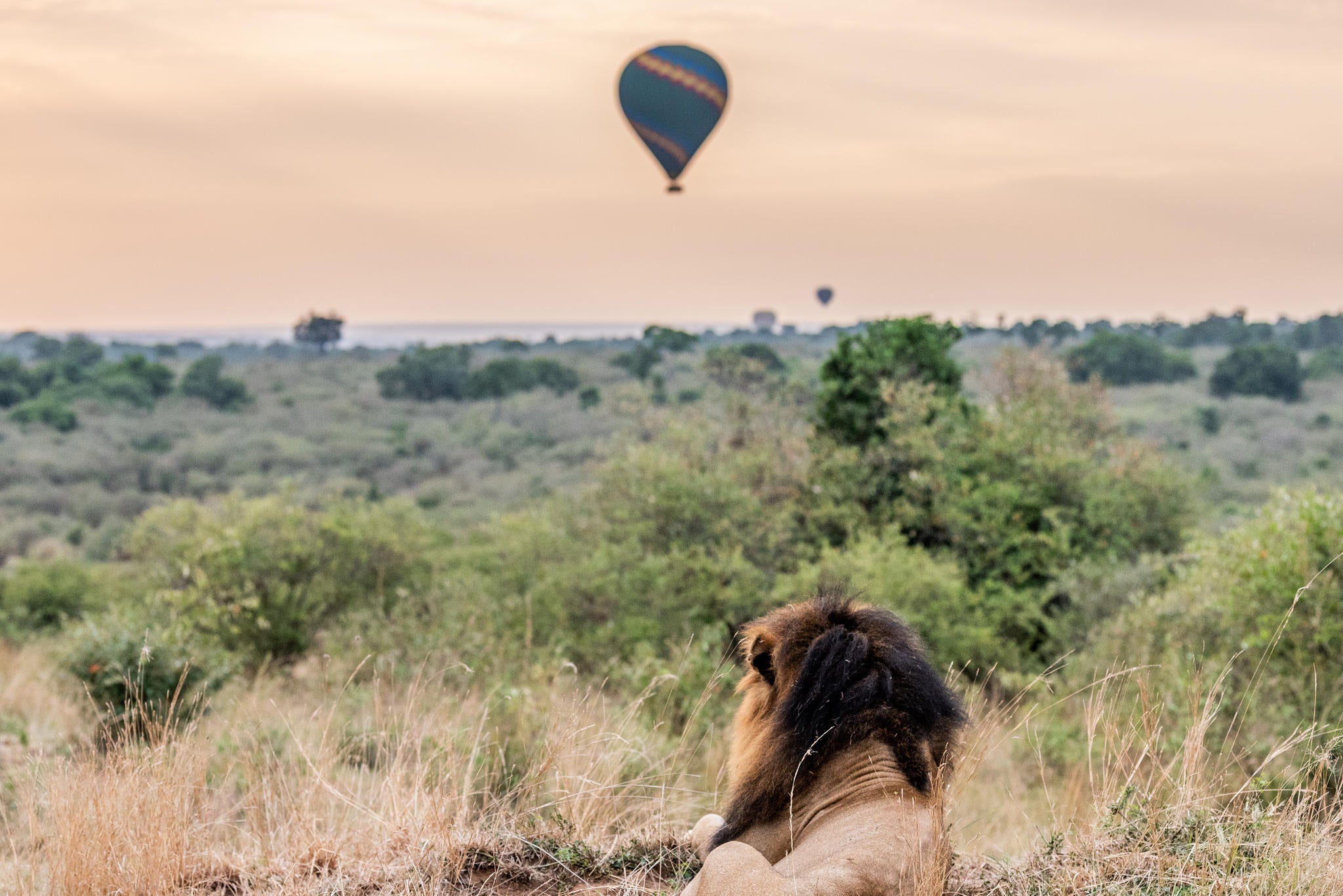 Hot Air Balloon Safaris