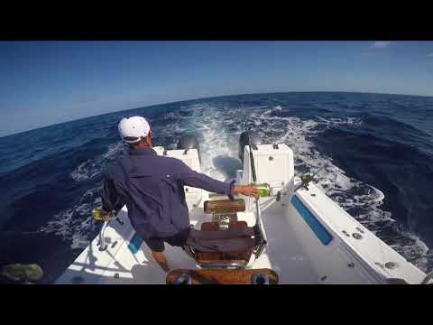 Bahia Mar Boutique Hotel - What you can do when you visit us !